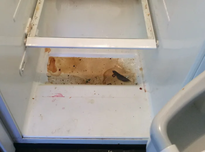 Spills and staining inside a refrigerator before cleaning