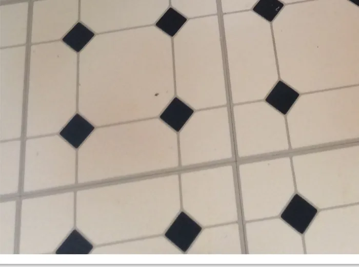 A toilet and tiled bathroom floor cleaned by Sunshine Cleaning